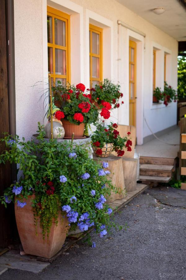 Hotel Gostilna Logar Hotemaze Exterior foto